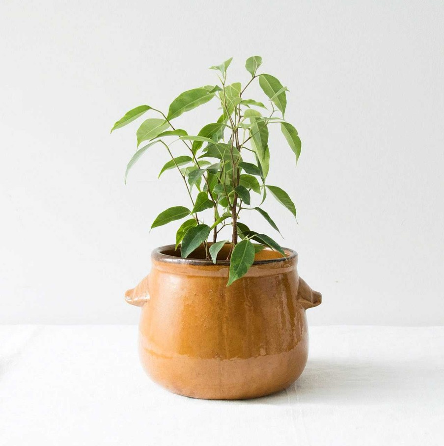 Maison Pièce Vintage | Cache-Pot Ocre